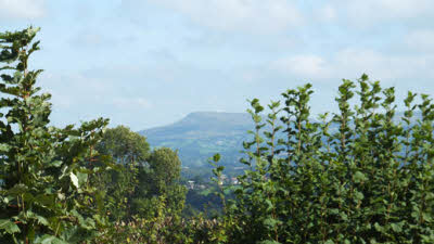 Hucks Barn Farm, SY8 4AA, CL