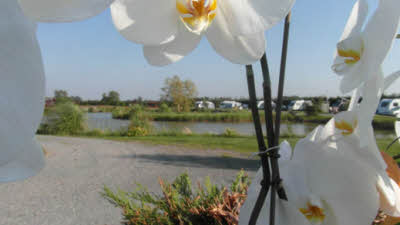 Walnut Lakes CL, PE20 2LQ, formerly Daisy Lake, Boston, Lincolnshire