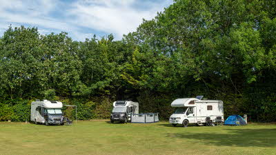 Three motorhomes on grass pitches