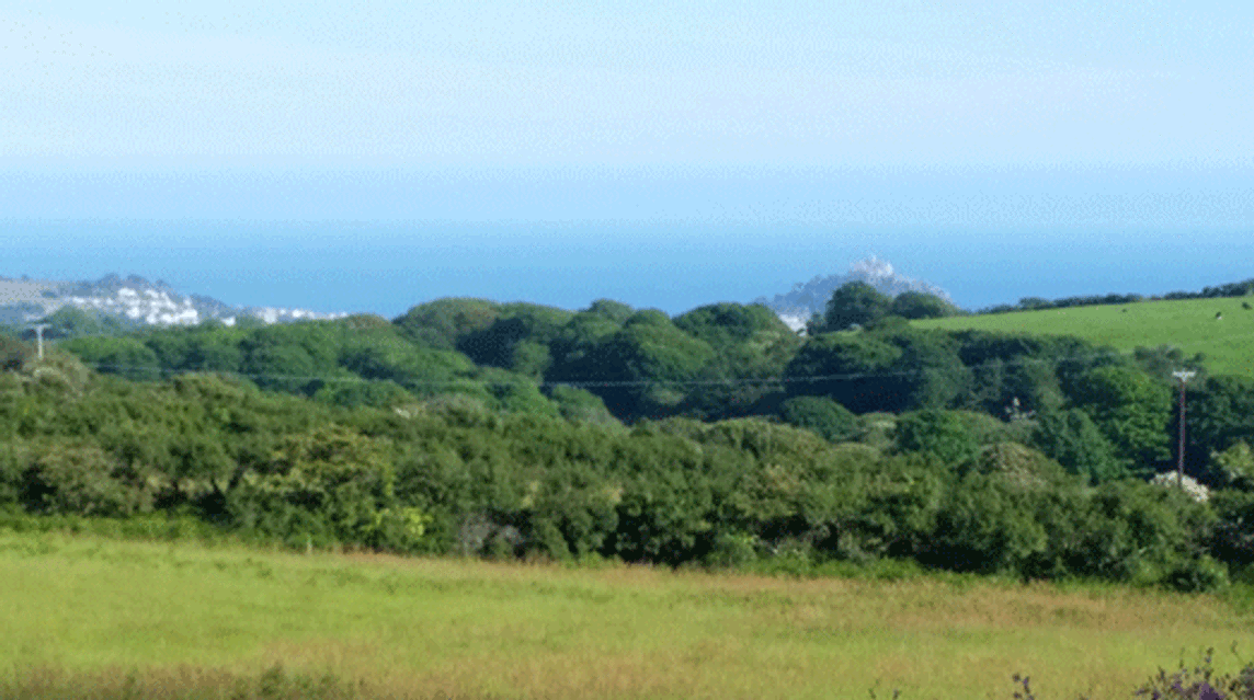 Green Pig Farm, TR20 8BG, CL