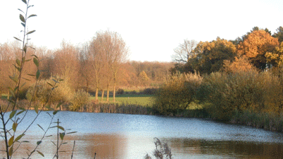 Golf World Stansted, CM22 6FL, formerly Elsenham Golf and Leisure, Bishops's Stortford, Hertfordshire