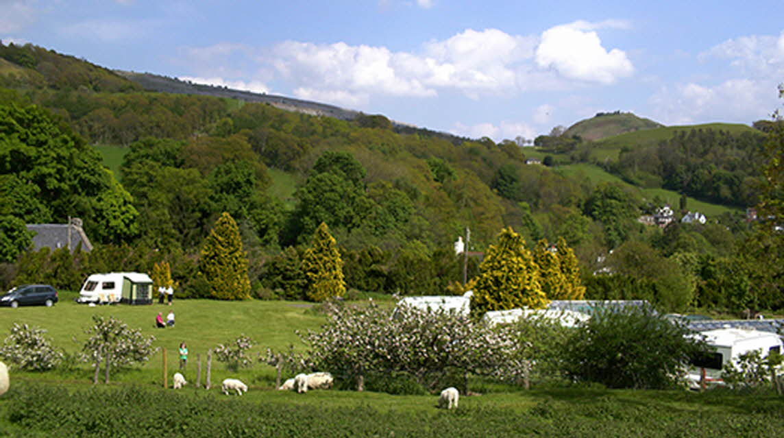 Abbey Nurseries, LL20 8EE,