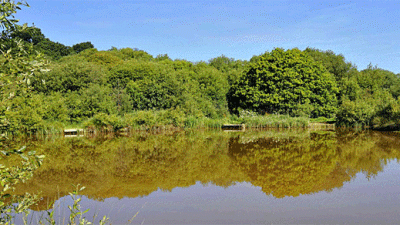 Alverstone Ponds, PO36 0HA