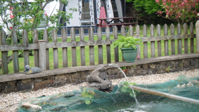 Midlands, Sa62 5TU, Letterston, Pembrokeshire