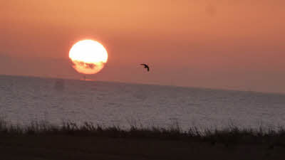 Cliff House Farm, HU11 4UN, CL