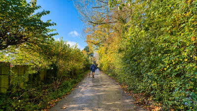 Dog walk off site from Cheddar Club Campsite