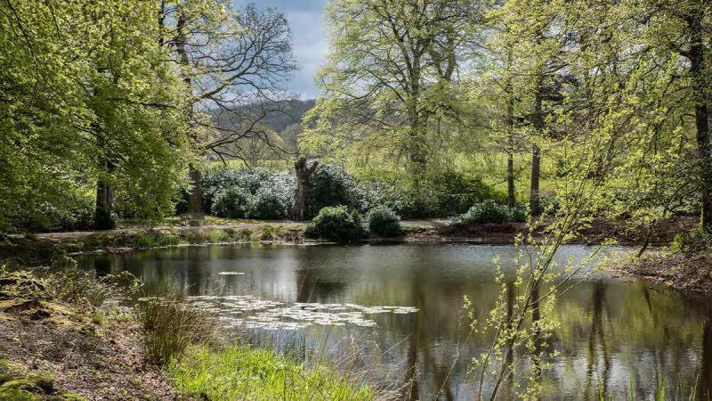 A view over the lake surrounded by beautiful trees with the mountains slightly hidden in the distance