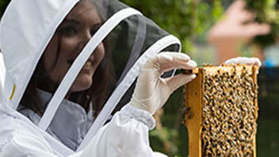 Offer image for: Hiver’s London Beekeeping and Beer Tasting - 15% discount