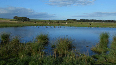 Newhaven Lodge Farm, SK17 0BB