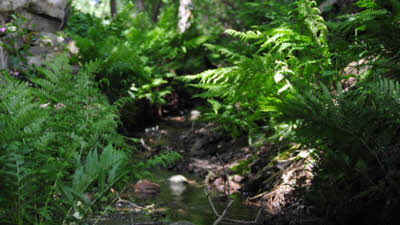 Partridge Cottage, DG1 3PB, CL