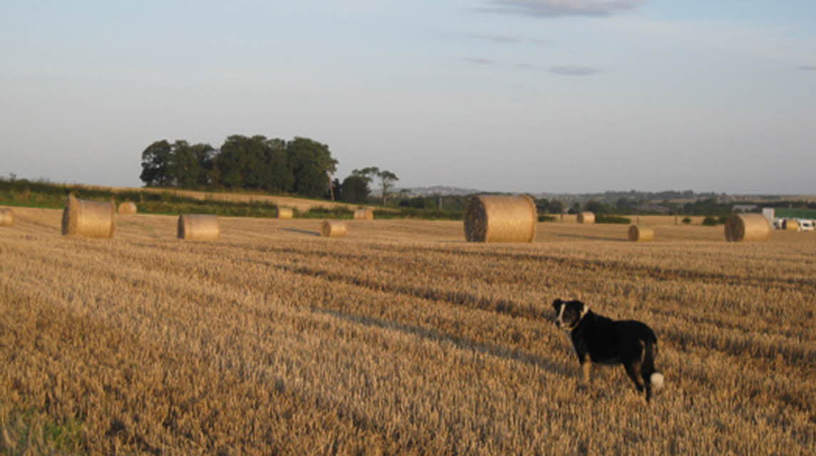 East Fortune Farm, EH39 5BT, North Berwick, East Lothian