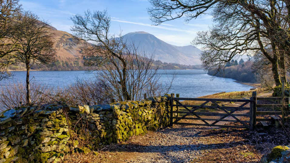 Gated footpath covered in fallen leaves alongside river