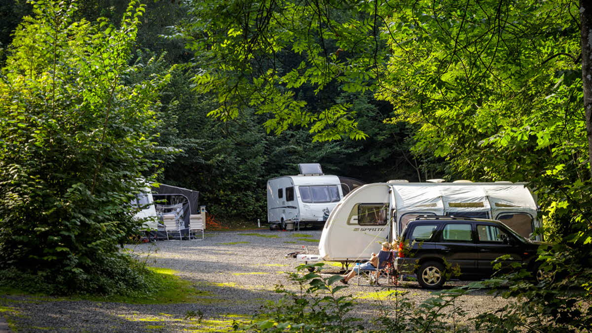 Kendal Club Campsite | The Caravan Club