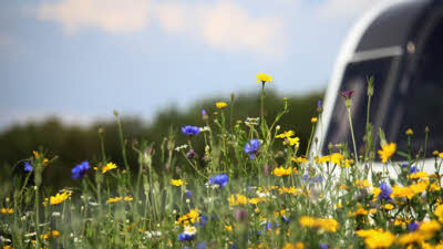 Tax Farm, DE4 5LQ, Matlock, Derbyshire