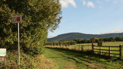 Elhams Market Garden, TS9 5LD