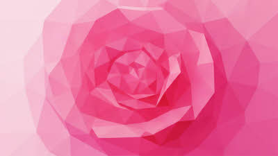 abstract graphic of a pink rose