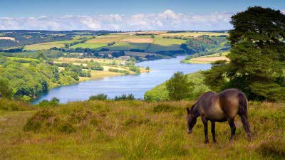 Exmoor National Park