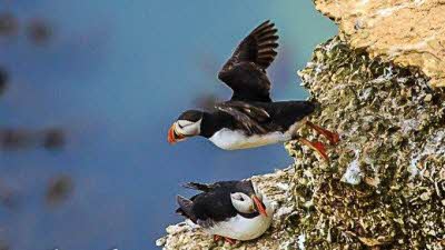 High Breame, YO15 1AA, CL