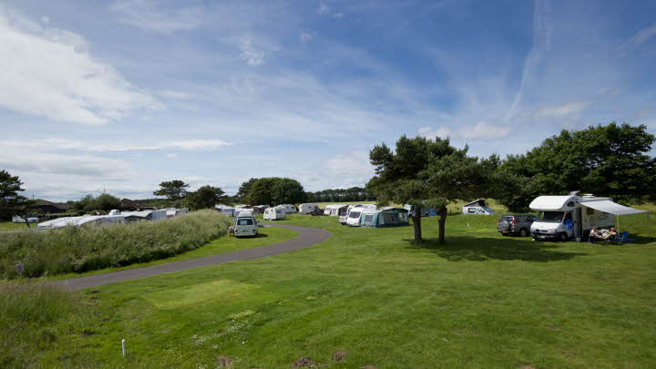 Yellowcraig Club Campsite | The Caravan Club
