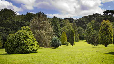 Offer image for: Pinetum Gardens - 2 for the price of 1 entry