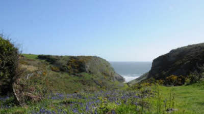 Mewslade View, SA3 1PJ