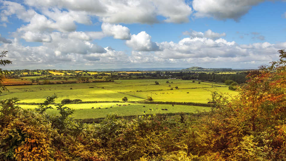 picturesque fields and farmland in Wiltshire