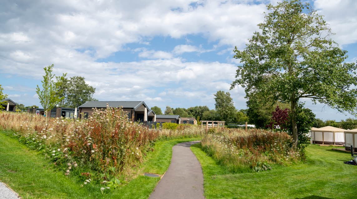 Cayton Village Club Campsite The Caravan Club