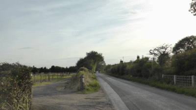 Deodara, NR31 9QS, CL