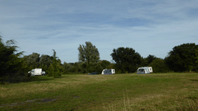 Deodara, NR31 9QS, CL