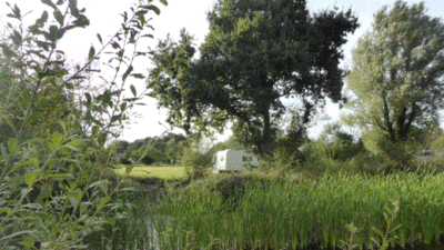 Deodara, NR31 9QS, CL