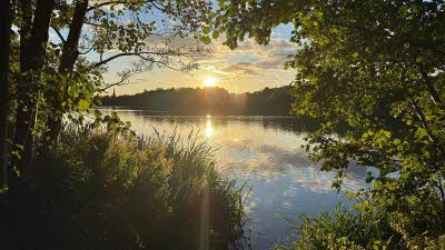 A beautiful view of Clumber Lake from the waters edge. Framed by the leafy trees, the water reflecting the fluffy clouds of the fading blue sky and the setting sun which is just behind the hills in the distance. 