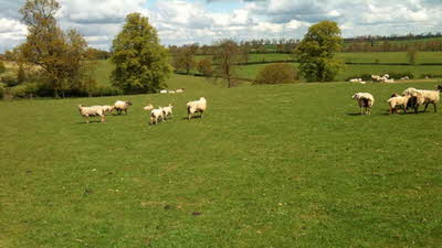 Covert Farm CL, NN6 8DU, Daventry, Northamptonshire