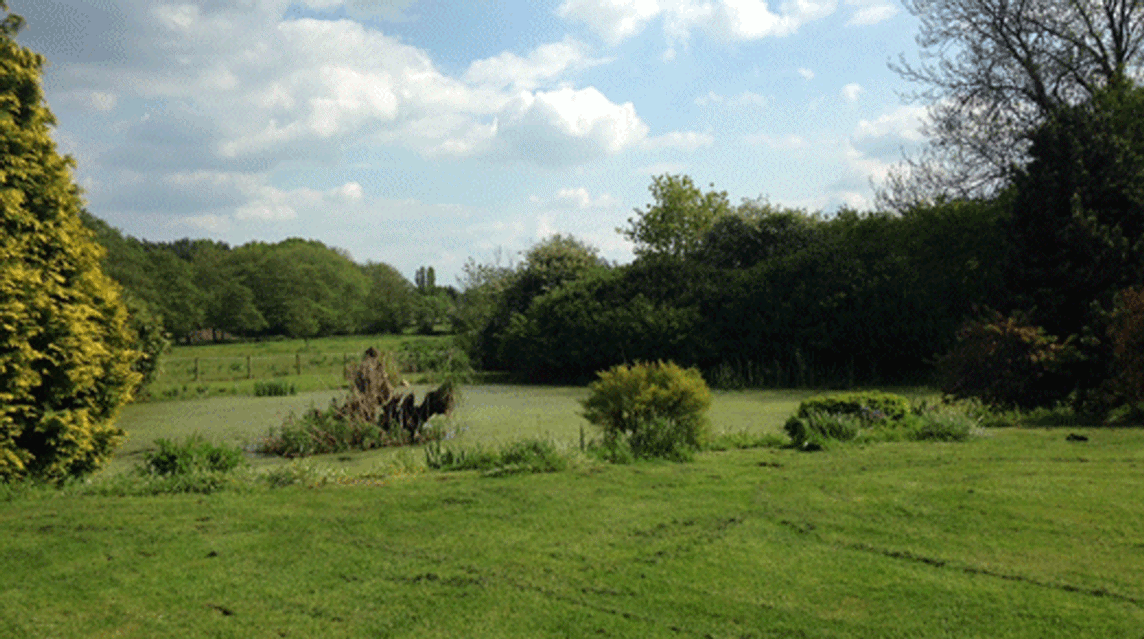 Springview, PE32 2YA, Dereham, Norfolk