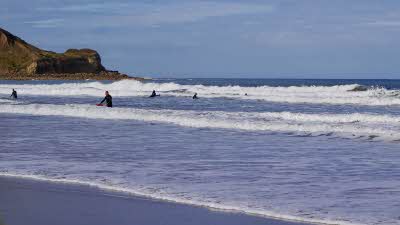 Surfers in the shallow water at Cayton Bay