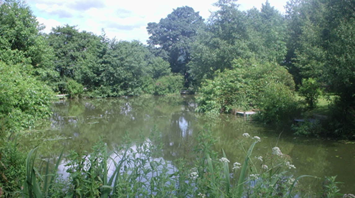Dale View, PR3 2ET, Garstang, Lancashire