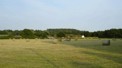 Airview Farm, BH24 3PR