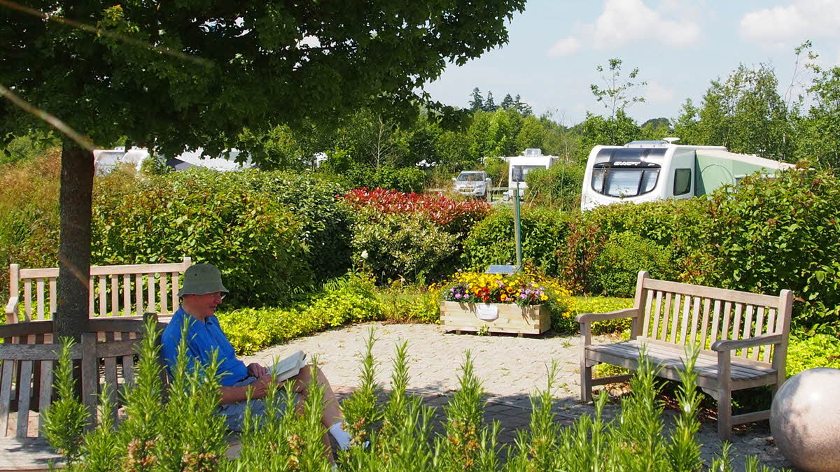 New Forest Centenary Club Campsite 