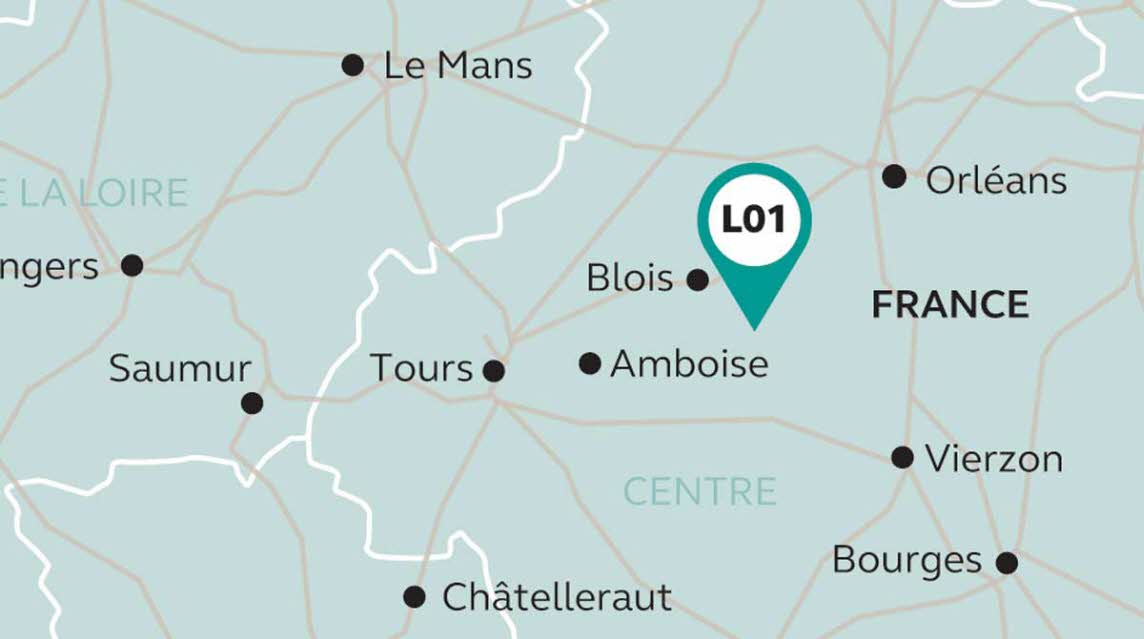 Chateau of the Loire