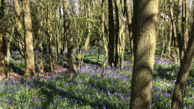 Severn House Farm, GL13 9QY, Dursley, Gloucestershire