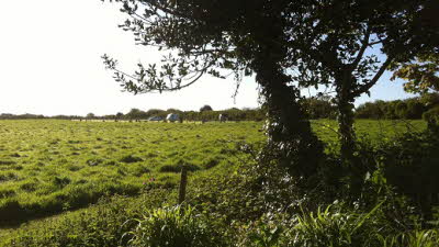 Higher Bochym Farm, TR12 7AZ, Helston, Cornwall, CL