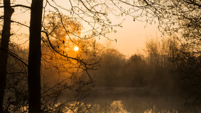 Alverstone Ponds, PO36 0HA