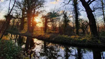 winter sun low in the sky reflecting the trees in the water