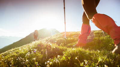 Person walking through grassy field in walking attire