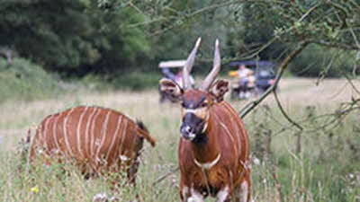 Offer image for: Watatunga Wildlife Reserve - 10% discount