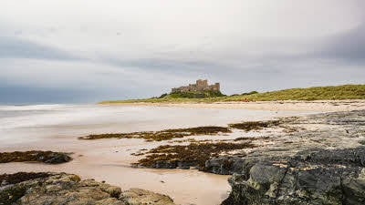 Image 5 