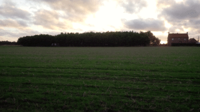 Twit Twoos, PE24 5JB, Skegness, Lincolnshire