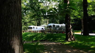 Abbey Wood Club Site | The Caravan Club