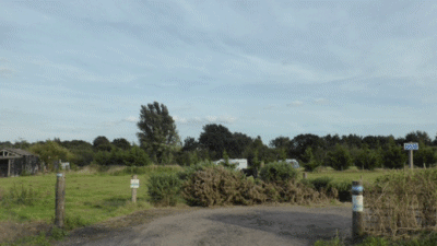 Deodara, NR31 9QS, CL