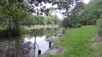 Willoways, NR31 9QS, CL