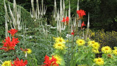 Offer image for: Cae Hir Gardens - 25% discount
